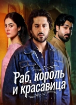 Раб, король и красавица / Ghulam Bashah Sundri
