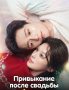 Привыкание после свадьбы