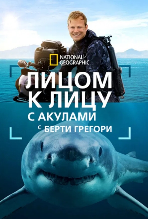 Лицом к лицу с акулами с Берти Грегори